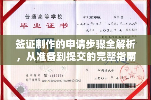 凤凰签证制作的申请步骤全解析，从准备到提交的完整指南